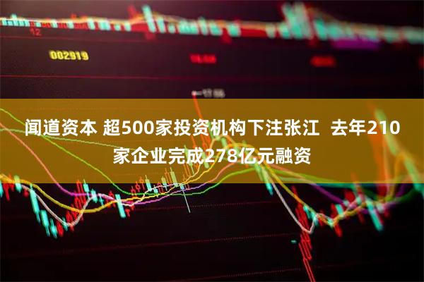 闻道资本 超500家投资机构下注张江  去年210家企业完成278亿元融资
